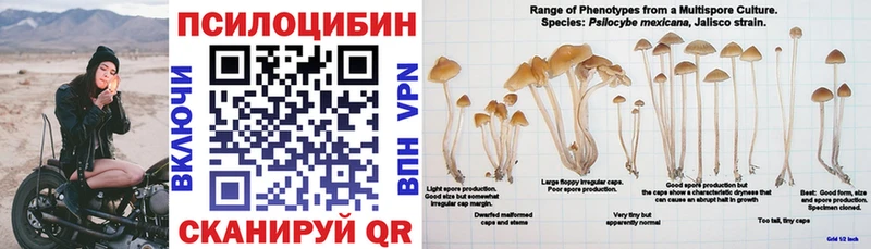 Галлюциногенные грибы Cubensis  Тында 